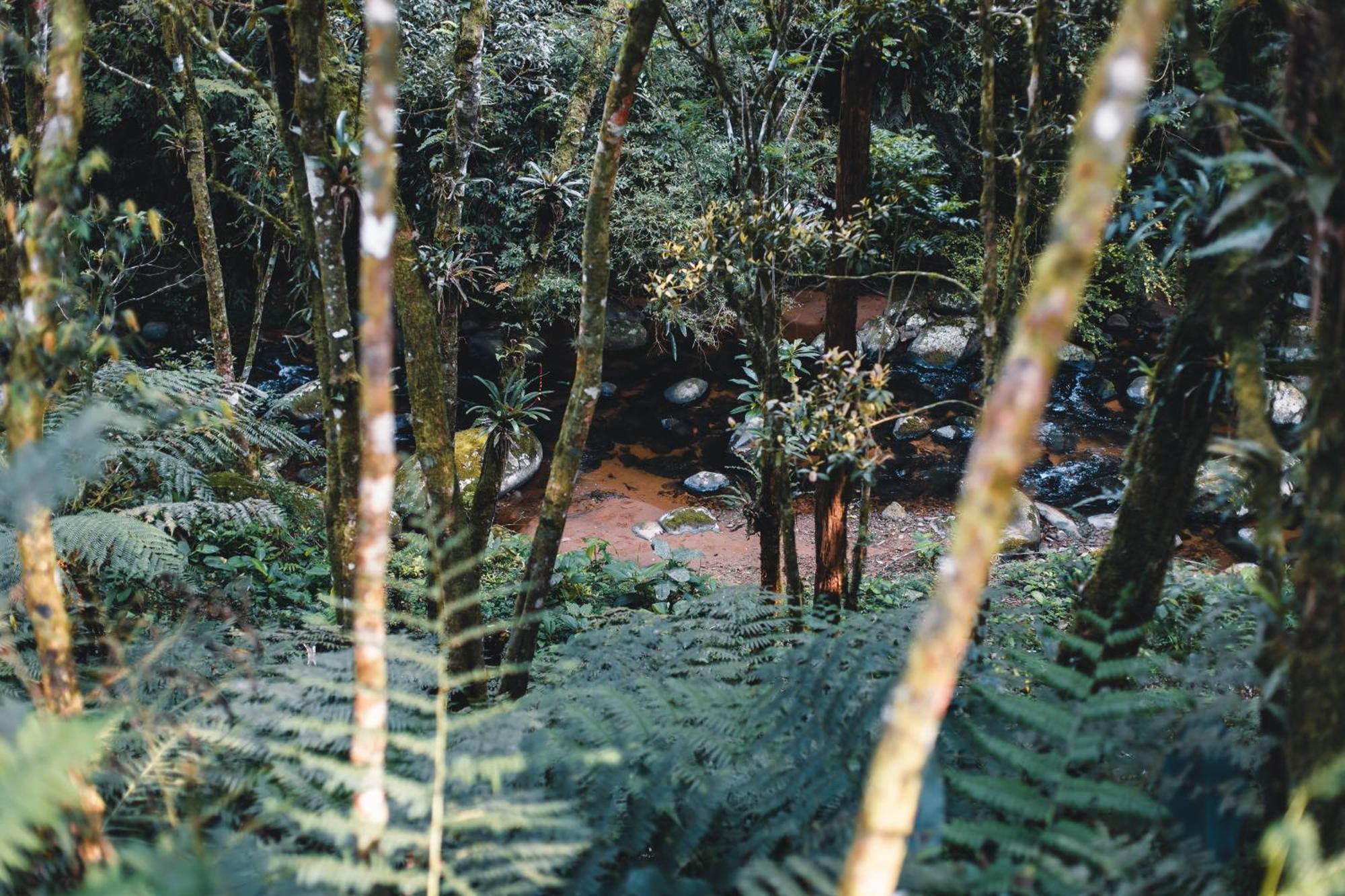 Eagle Hill Aguas Mornas